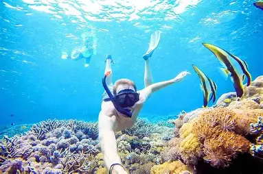 Snorkeling 2